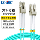 SK-LINK 光纤跳线 LC-LC万兆多模OM3电信级双芯机房布线光纤线1米 LZSH低烟无卤 SK-TX10GMM-2LCLC1M