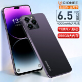 金立（Gionee）全新8核+256G八核4000毫安长续航4G全网通轻薄便宜大屏游戏电竞学生老年人百元智能机 紫色 8核+64GB