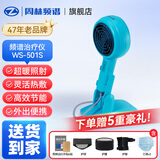 周林频谱（ZHOULIN）理疗仪家用频谱治疗器肩颈膝腰椎痛医用电磁波红外线便携 WS-501S WS-501S【蓝色便携款】
