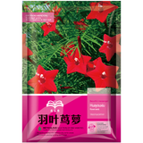 花友秀 羽叶茑萝花卉种子盆栽爬藤攀援植物五角星花籽 开花不断花种籽
