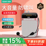 索爱（soaiy）S318小蜜蜂扩音器教师专用U盘TF卡麦克风喇叭防啸叫导游蓝牙音箱户外教学讲课  TYPE-C金