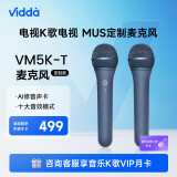 Vidda 海信  麦克风 VM5K-T 海信电视 Vidda电视定制 天籁K歌 无线麦克风 家庭KTV 双支套装