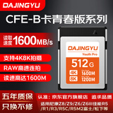 DAJINGYU大鲸鱼cfexpress存储卡 CFE-B影像卡CFE Type B 高速相机内存卡 xqd升级卡 适用尼康佳能松下富士 【人气热荐】青春版512GB（1600MB/s） 存储卡+读卡