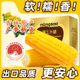 东北农嫂糯玉米甜糯香粘真空装黏玉米棒粒吉林产低脂主食可选有机 【吉林】黄糯礼盒 2kg*1箱 约10穗