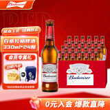 百威（BUDWEISER）瓶装啤酒 美式拉格 经典醇正330ml*24瓶 330mL 24瓶