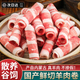朵芙牛肉卷 散养谷饲羊肉卷 高钙羊肉真羊肉生鲜食材餐饮 火锅商用 手切羔羊卷【200g*10盒】
