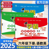 2025版 江苏专用 学霸提优大试卷六年级下册语文人教数学苏教SJ英语译林YL 经纶五星6下测试卷期中期末单元卷子