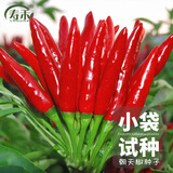 寿禾 辣椒种子大全特辣种籽朝天指秋冬季小米椒薄皮椒辣子光蔬菜种孑 【量少试种】簇生朝天椒种子20粒