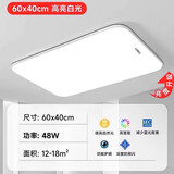 雷士（NVC）2025新款超薄全光谱护眼LED吸顶灯 卧室灯餐厅客厅吊灯长方形套餐 （全光谱）长60*40CM白光48W