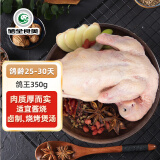 硒全食美富硒鸽王 350g/只 冷冻 供港鸽子全程冷链 卤煮煲汤食材 生鲜鸽