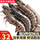 鲜拔头筹 黑虎虾 超大号活冻 大号斑节虾草虾虾类大虾越南老虎虾对虾 【14-18只/盒】 350g(净重)