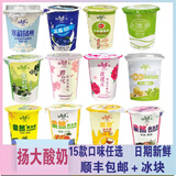 扬大扬大茉莉花酸奶樱花黄桃凤梨玫瑰花草莓青柠檬小苹果味扬州大学冷 茉莉花味8杯（180g/杯)