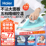 海尔（Haier）电熨斗自动清洗熨斗家用蒸汽挂烫机手持烫斗小型熨烫机干湿双烫 YD1618专销