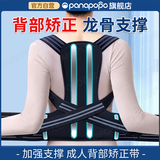 Panapopo驼背矫正神器成人开肩矫姿带男女士防驼背部矫正护腰带脊柱侧弯L