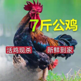 诺斯食美散养两年老公鸡 农村大公鸡现杀鲜鸡肉土鸡新鲜 毛重-7斤 散养大公鸡