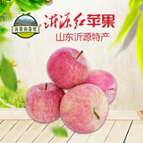 沂蒙山旮旯沂源红苹果富士苹果绿色食品认证脆甜多汁山泉灌溉办公家居零食 沂源红苹果65-70#4.5-5斤(净重4.5斤) 4.5-5斤(净重4.5斤)