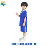 青青世界深圳校服小学生凉感透气柔软舒适运动服男女短裤夏长裤薄吸湿排汗 特版小学夏运套装（男) 130