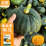 北蔬 南瓜种子苗甜糯阳台盆栽秋冬四季种蔬菜种籽 黑板栗南瓜种子20粒