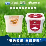 西域春酸奶大方桶新疆老酸奶低温全脂风味水果捞酸奶益生菌生牛乳发酵乳 冰淇淋酸奶2斤 +奶皮子酸奶2斤