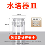 水培器皿塑料透明圆柱形绿植花盆多肉鲜花吊兰绿萝定植篮植物花瓶 塑料5.5*6.5小瓶子+定植篮