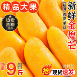 京地达海南金煌芒果 9斤特大果单果400g+ 甜心芒新鲜水果源头直发包邮