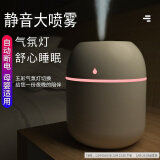 织尔办公室小型加湿用usb便携器办公室桌面家用卧室学生宿舍静音迷你简易空气孕妇婴儿车载香薰喷雾 大雾量【冰川白】 220mAh 通用