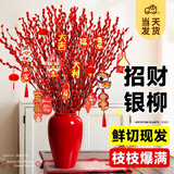 开时果 银柳真花年宵花卉带花发货 鲜切鲜枝水培水养干支耐寒绿植物盆栽 A级银柳中国红45cm50枝+小灯笼2个 不含盆