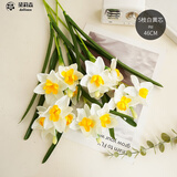 黛莉森 假花 仿真花 高档3头水仙花客厅餐桌花束家居装饰卧室插花会议室办公室茶几摆件拍摄道具花束套装 白黄芯-5枝