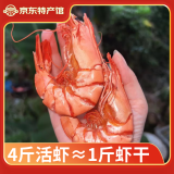 海鲜颂九节虾干即食特大斑节虾干对虾干烤虾干虾仁干海鲜零食风干大虾 中号斑节虾250g