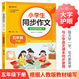 小学生同步作文 五年级下册 根据小学人教版语文教材编写 作文专项训练 单元作文题详解 理清写作思路 好词好句好段素材积累 彩色印刷 大字 宽行距