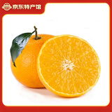 静益乐源爱媛38号果冻橙 四川爱媛果冻橙 桔橘水果 5斤果王果径80-85mm