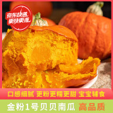 京鲜匠【JD快递】（JD金榜TOP1）山东贝贝南瓜 栗香小南瓜粉糯 产地直发 JD快递 金贝贝南瓜 净 2.6斤 礼盒