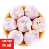 京喜加 【百万单爆品】紫白皮蒜精品大蒜特价批发商用调味料蒜瓣 [活动]10头 200g 单果3.5-5cm