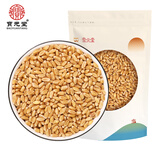 宝元堂 淮小麦500克 精选颗粒饱满怀小麦