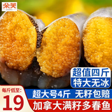 朵芙满籽多春鱼  特大号多籽多春鱼净重2斤 约40条多子鱼烧烤食材海鲜 【4斤】满籽特大号14-16cm
