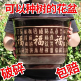 大海边  花盆加厚塑料花盆树脂大号盆绿植绿萝花盆新款特大号福盆山水 【黑福盆+托盘】直径20cm高15cm