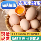 霖勉 新鲜土鸡蛋 正宗农家柴鸡蛋 散养谷物虫草蛋 笨鸡蛋 30枚 1200g