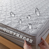 雅鹿抗菌夹棉床笠单件床罩家用双人全包床垫保护罩防滑床笠罩床上用品 商务灰【全包防滑 亲肤裸睡】 180*200cm【单床笠】