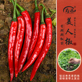 寿禾 蔬菜苗活苗带土发货大全菜苗夏秋各种秧苗山东寿光苗种子阳台 美人辣椒苗 6棵