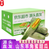 京地达山东羊角蜜甜瓜4.5斤装单果250g+新鲜水果源头直发包邮