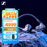 森海塞尔（Sennheiser）IE600 高保真HiFi音乐耳机非晶态锆外壳可拆卸MMCX耳机线有线 入耳式耳机 金属色