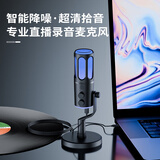索爱（soaiy）直播麦克风话筒K歌电脑台式笔记本声卡收音麦游戏电竞主播网课语音手机电容USB监听降噪sc100