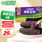 十月稻田 鲜食黑糯玉米1.76kg（220g*8根）东北紫玉米 花青素 杂粮礼盒