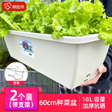 原起点 长方形种菜盆(18L)大花盆阳台塑料种菜箱懒人神器长条蔬菜种植箱 【套餐1】60cm牛津灰2个+新支架2个