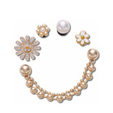 CROCS卡骆驰时尚金色五件套智必星鞋花鞋配件装饰 时尚金色五件套