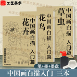 中国画白描入门篇  国画白描描摹本 白描临摹本画谱底稿工笔画 零基础白描入门 梅兰竹菊花鸟虎猫马犬 花卉植物禽鸟动物山水树木鸟兽鱼虫 工笔仕女 工笔花卉描摹本 线描画临摹 中国画白描入门篇全3册【花卉