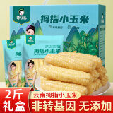 傣小瓜云南农科院拇指玉米手指小玉米儿童早餐即食低脂糯玉米真空包装 拇指玉米礼盒2斤