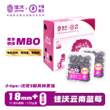 佳沃（joyvio）云南当季蓝莓MBO系列 18mm+大果 12盒原箱装 约125g/盒 生鲜水果