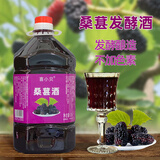 喜小贝贵州桑葚酒5斤桑椹酒果子糯米酒低度12度农家手工男女士酒甜酒