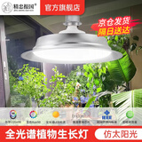精忠报国植物补光灯大棚蔬菜花卉led室内绿植专用仿太阳全光谱园林生长灯 【仿太阳全光谱补光灯】白-30W 配3米灯头线